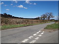 TM4899 : Browston Lane, Ashby by Geographer