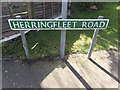 TM4599 : Herringfleet Road sign by Geographer