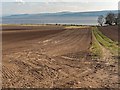 NH5548 : Fields at Tarradale Mains by valenta