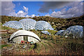 SX0454 : The Eden Project Biomes by Andy Stephenson