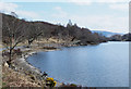 NN1689 : Bay of northern shore of Loch Arkaig by Trevor Littlewood