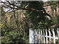 SP3477 : Best available view of the railway viaduct over the River Sherbourne, Coventry by Robin Stott