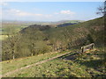 TQ2814 : Bench with a view, near Clayton by Malc McDonald