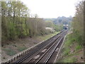 TQ3014 : Railway near Hassocks by Malc McDonald