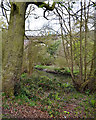 SP3677 : Banks of the River Sowe north of the railway viaduct, Coventry by Robin Stott