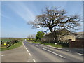 NZ3830 : Butterwick Road, near Sedgefield by Malc McDonald