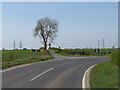 NZ3829 : Road junction near Sedgefield by Malc McDonald