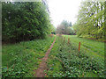 TL8295 : Westerly view along path abutting STANTA by David Pashley