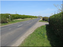  : West Lane, near Trimdon by Malc McDonald