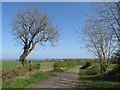 NZ3951 : Country lane near Ryhope by Malc McDonald