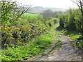 NZ3650 : Hetton Colliery Railway path near Houghton-le-Spring by Malc McDonald