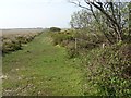 SW7218 : Goonhilly Downs by Philip Halling