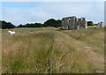 TM4770 : Remains of Greyfriars Friary, Dunwich by Mat Fascione