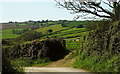 SS5424 : Sheep near Delley by Derek Harper