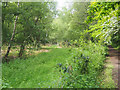 TL9195 : View into STANTA from Peddars Way by David Pashley