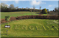 SX8866 : Floral display, Kerswell Gardens by Derek Harper