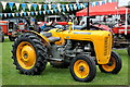 ST8576 : Castle Combe Steam Rally, Wiltshire 2019 by Ray Bird