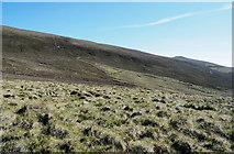  : Steep mountain slope on Corryhabbie Hill by Trevor Littlewood