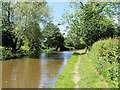 SJ3933 : Llangollen (Shropshire Union) Canal south of Ellesmere by David Dixon