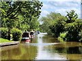 SJ4034 : Llangollen Canal near Blackwater Meadow by David Dixon