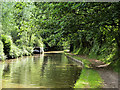 SJ4233 : Shropshire Union Canal (Llangollen Branch) by David Dixon