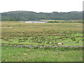 NM4539 : Cattle and sheep pasture, Oskamull by M J Richardson