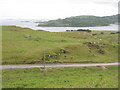 NM4639 : Pasture near Oskamull by M J Richardson