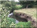 SP1866 : Meander on Tapster Brook, Preston Fields by Robin Stott