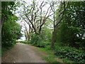 SX8961 : The grounds of Parkfield House, Paignton [1] by Christine Johnstone