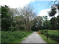 SX8961 : The grounds of Parkfield House, Paignton [3] by Christine Johnstone