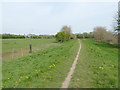 SE2917 : Riverside footpath approaching Dudfleet Mill by Stephen Craven