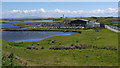 SD2262 : Morecambe Bay Oysters by Ian Taylor