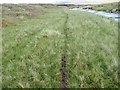 NH4178 : A linear oasis in Fasgadh's 'vast bog' west of Kildermorie by ian shiell