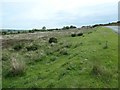 NZ7505 : Open access land, south side of the road to Glaisdale by Christine Johnstone