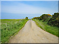 SH3289 : Lane near Llanrhyddlad by Jeff Buck