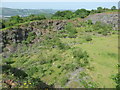 ST1785 : Cefn Onn Quarry by Colin Cheesman