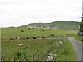 NX5056 : Cattle grazing at Bagbie Sheds by M J Richardson