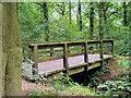 SJ5790 : Bridge over Stream in Mary Ann Plantation by David Dixon