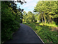 SJ5889 : Path into Sankey Valley Park by David Dixon