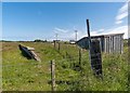 NH8094 : Remains of Skelbo Station by valenta