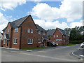 SJ7661 : Monarch Place, Sandbach by Stephen Craven