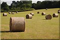 SO8845 : Hay bales at Croome by Philip Halling