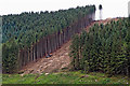 SN8355 : Timber extraction in upper Cwm Irfon, Powys by Roger  D Kidd