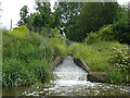 SJ6475 : Canal overflow at Anderton - bottom by Stephen Craven