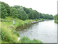 SJ6475 : Weaver Navigation at Anderton - view upstream by Stephen Craven