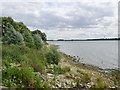 TL1667 : Grafham Water Scene by Gordon Griffiths