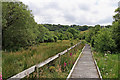 SN6862 : Cors Caron boardwalk north of Tregaron in Ceredigion by Roger  D Kidd