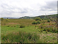 SN6963 : Cors Caron north of Tregaron in Ceredigion by Roger  D Kidd