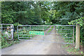 SU6560 : Gate into Withy Copse by Des Blenkinsopp