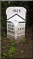 TF1605 : Newly repainted former council boundary stone, Werrington by Paul Bryan